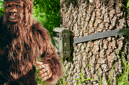 Bigfoot standing near trail camera looking at you